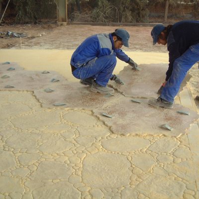 Irán Ene06 223