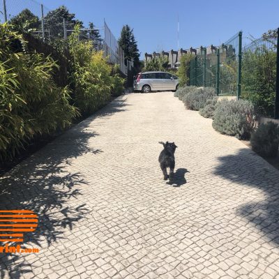 MONTERREY 10 - B LAS ROZAS abril 2018 (27) - copia