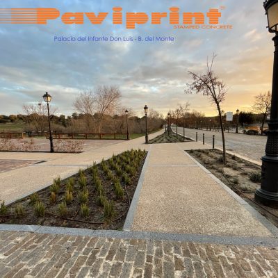 PAVIPRINT Palacio B Monte 2021
