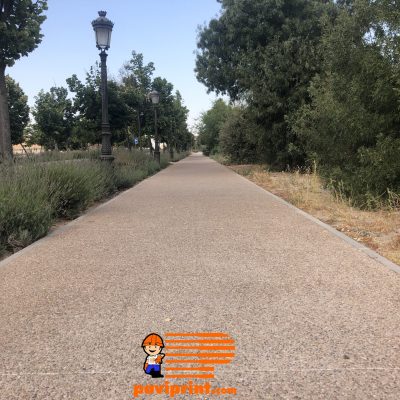 Palacio Boadilla 23 agosto 2018 (18) - copia